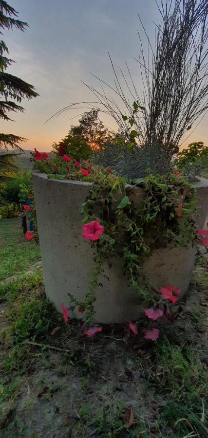 망고 Le Rose Di Mapi 빌라 외부 사진