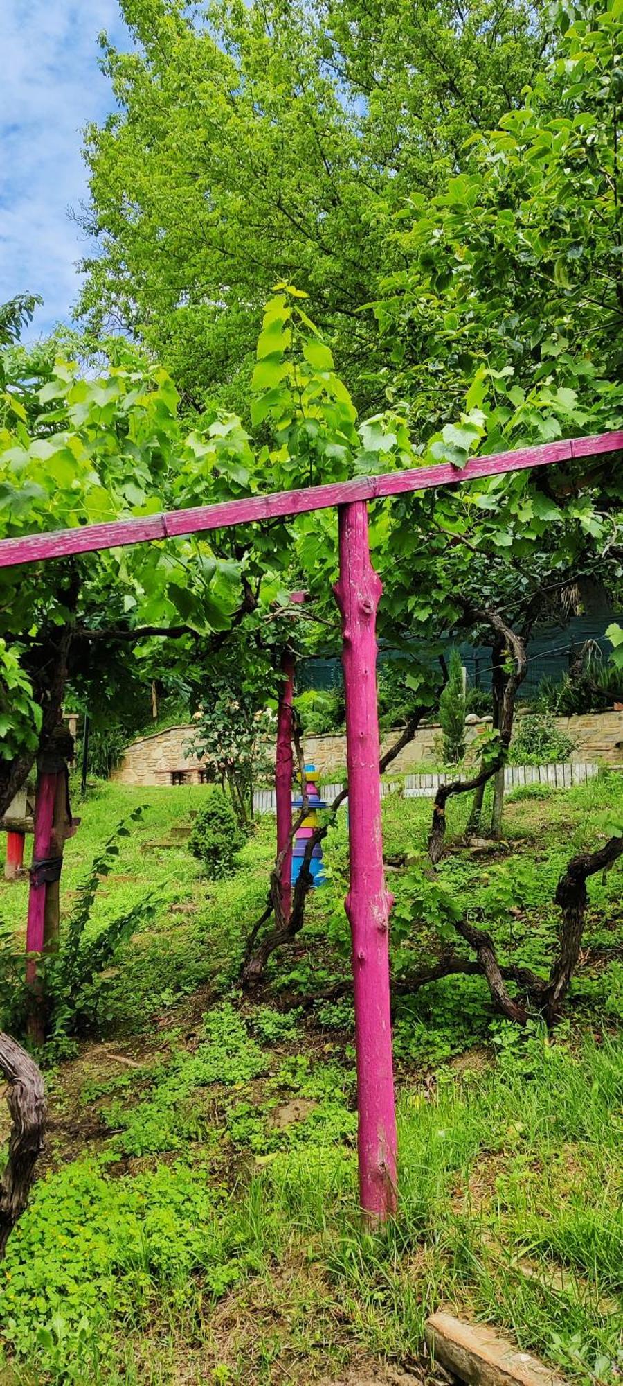 망고 Le Rose Di Mapi 빌라 외부 사진