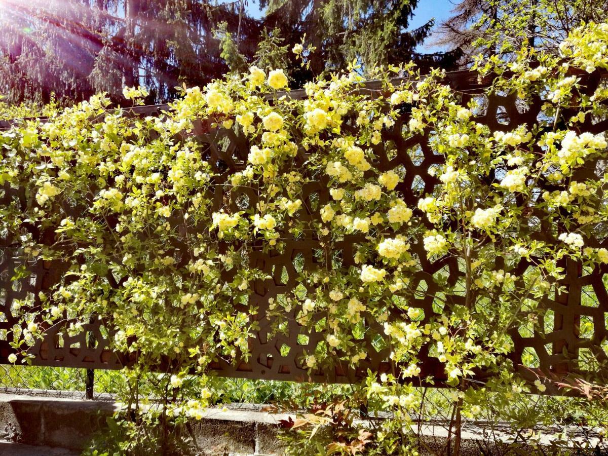 망고 Le Rose Di Mapi 빌라 외부 사진